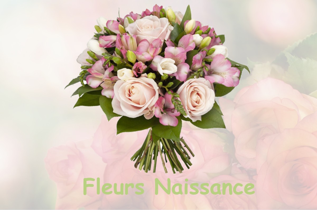 fleurs naissance LA-FERTE-FRENEL